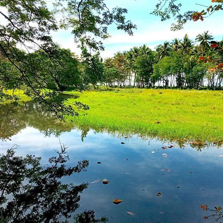 Villa Eliza Ecofarm Tibiao Kültér fotó