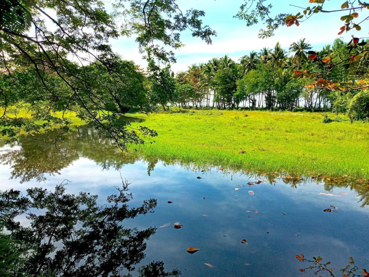 Villa Eliza Ecofarm Tibiao Kültér fotó