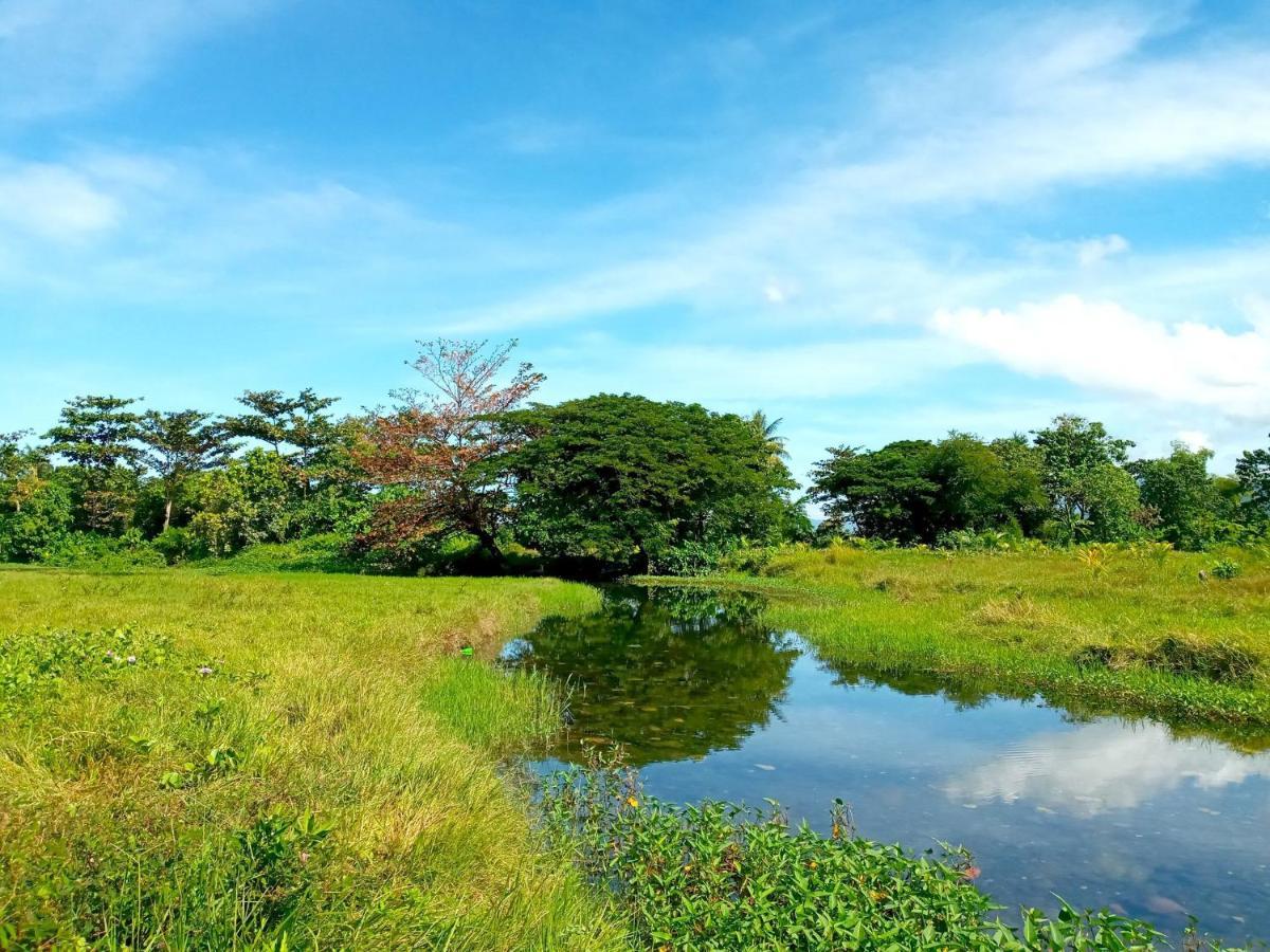 Villa Eliza Ecofarm Tibiao Kültér fotó